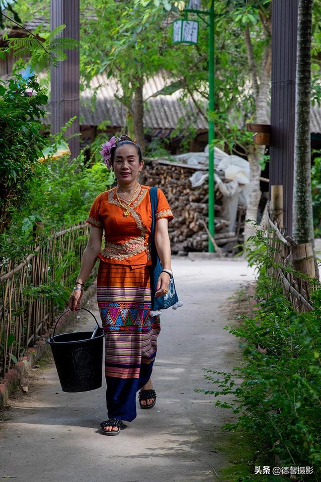 傣族的资料简介，傣族资料三年级上册（探访云南特有少数民族之：傣族）