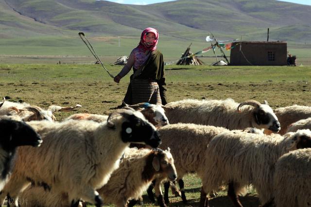 羊湖海拔多少米高，羊湖海拔有多少米呢（拉萨羊湖海拔多少米高）