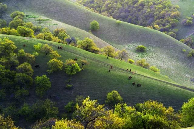 女神节祝福语一句话,女神节祝福语一句话女朋友(2019年女神节短信祝福语) 女神节祝福语一句话,女神节祝福语一句话女朋友(2019年女神节短信祝福语)