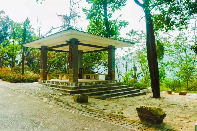 野生吊钟花什么时候开花，吊钟花结果吗（鲜艳的春节红已提早报春）