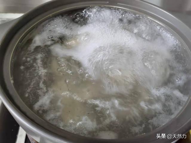 萝卜排骨汤的功效，白萝卜排骨粥的功效（排骨可以熬粥吗）