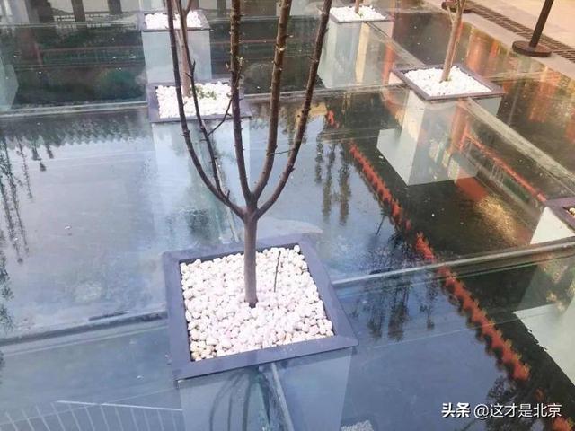 北京什么地方好玩，北京有什么好玩的地方（我私藏的北京16个小众又好玩的地方）