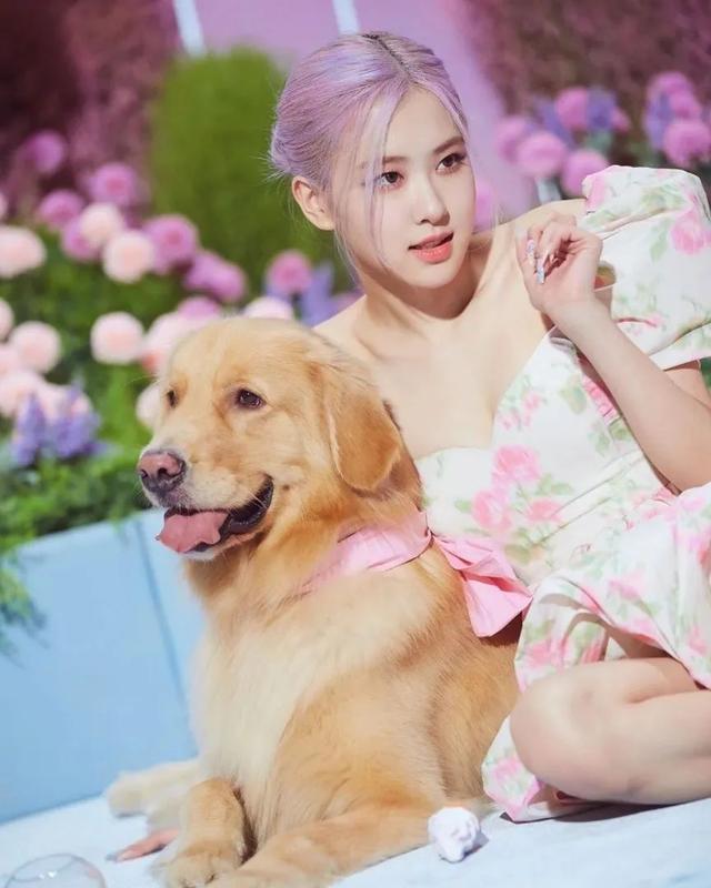 情头滴滴，微信头像，情头滴滴（你要找的头像都在这）