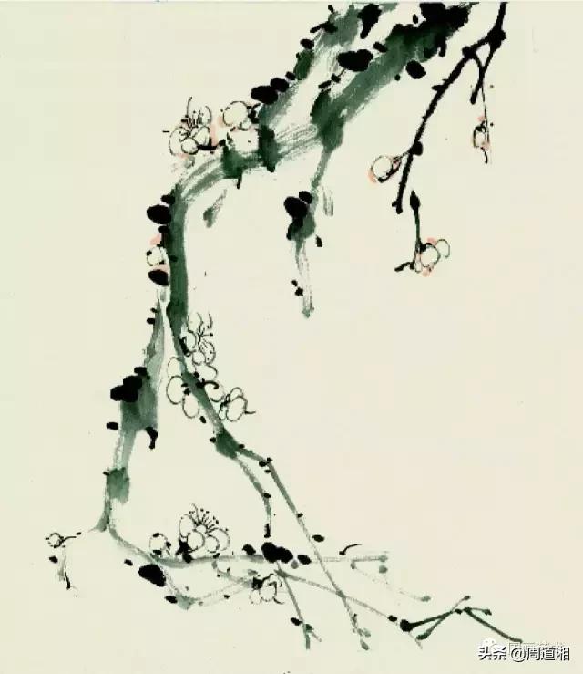梅花13怎么手绘画，教梅花13怎么画（国画入门教程——梅花的画法）