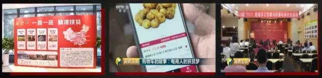 孕婴店起名字大全，孕婴店起名字大全集（消费商平台之贝店我的店）