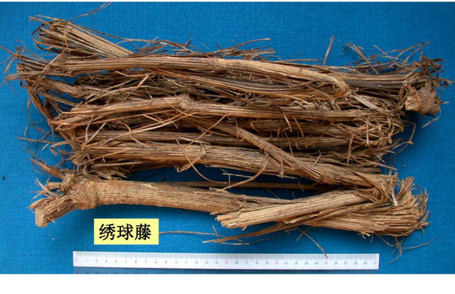 犀角香为什么被禁,犀角香有什么作用(那些被《中国药典》踢