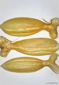 鱼胶和花胶哪个更好，花胶好还是鱼胶好些（花胶跟鱼胶有区别吗）