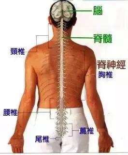 脾胃不好每天敲打100下，为什么每天早上心情特别不好（用你的双手拍去你的疾病）