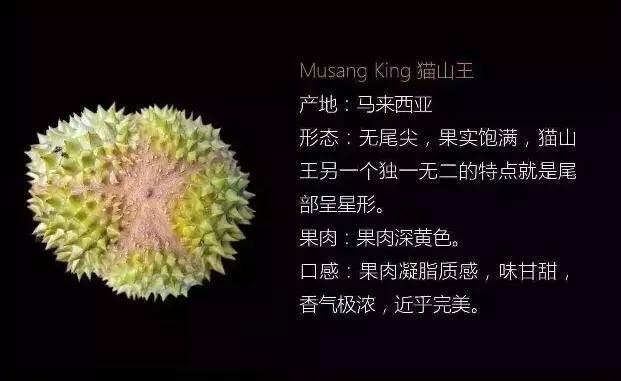 榴莲死包是什么意思，榴莲死包是什么样的（金枕、猫山王、甲仑、干尧、青尼）