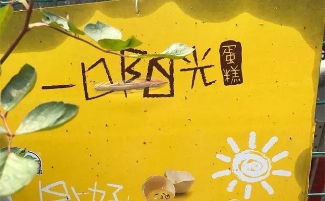 虫害防治新窍门，叶子油绿没有黑点了