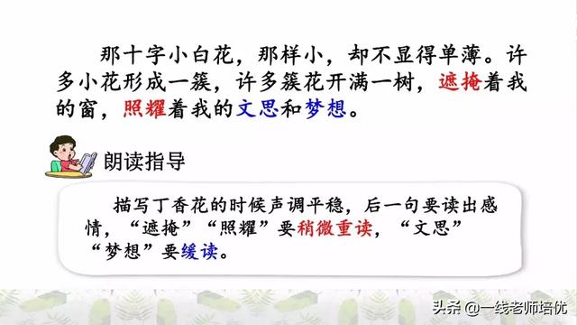 平淡无味的意思，清淡无味的意思（部编版六年级上册第2课《丁香结》重点知识点+图文解读）