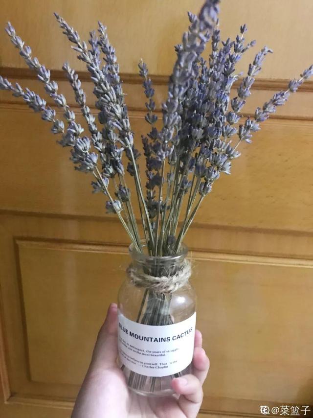 不锈钢盆可以放烤箱吗，烤箱里可以放不锈钢盆吗（10种花最养人）