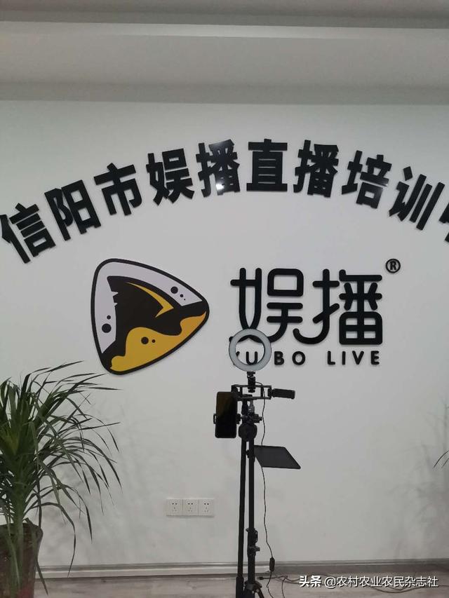 娱播是什么，有播公司在哪里（信阳市平桥区电子商务公共服务中心携手“娱播”助商扶农）