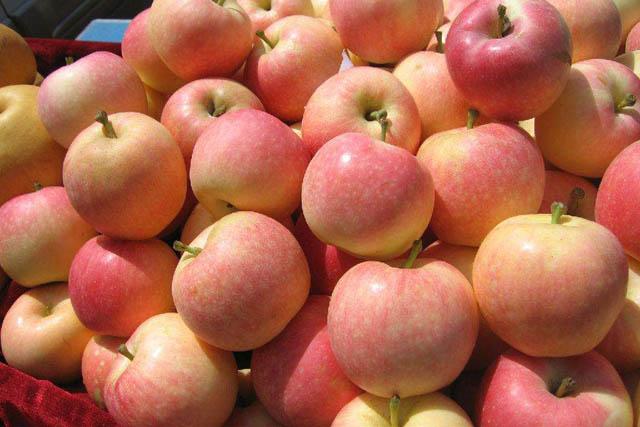 止咳化痰的水果，什么水果止咳化痰（推荐6种水果化痰又润肺）