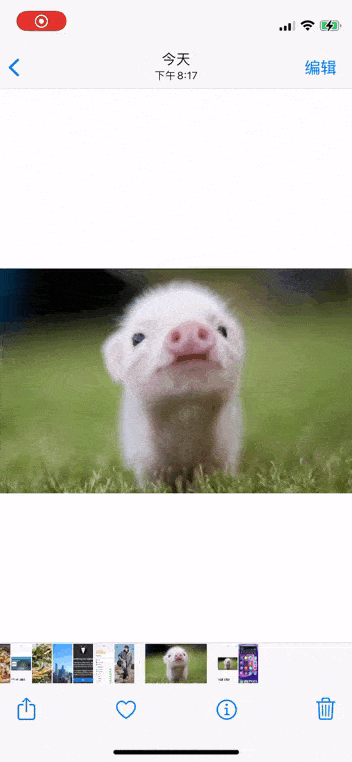 私密照片怎么在相册里找到（用了5年iPhone）