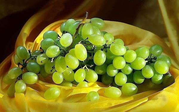 无籽红提的功效与作用，无籽红提的功效（提子里的这种物质能延缓衰老）