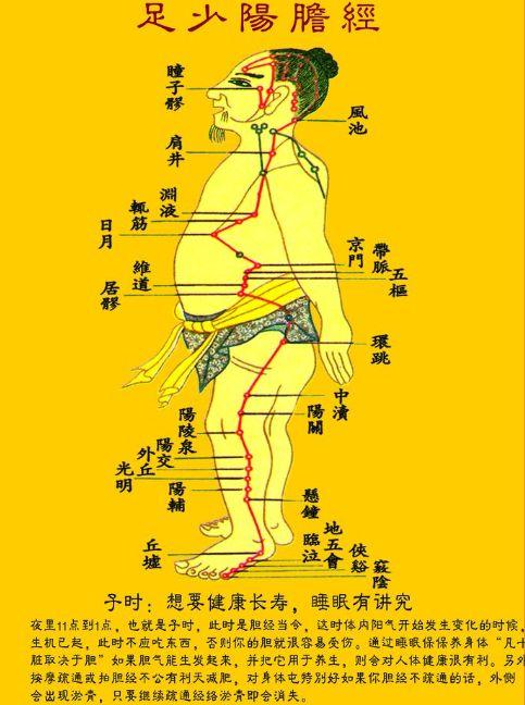 风池穴位位置图，风池穴有7大作用（预防风寒感冒的特效穴）