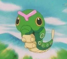 兔子假死多久恢复，兔子死后处理方式（扒一扒动物界的行骗手段）