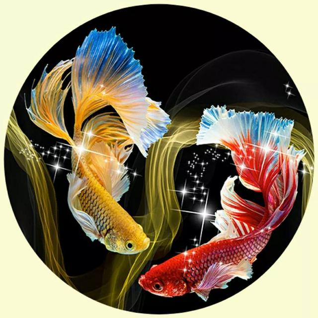 风景照片图片大全，微信头像，风景照片图片大全（令人心旷神怡的美景）