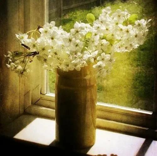 喝咖啡的心情唯美句子，喝咖啡说说美好心情短语（一杯清茶，云水禅心）