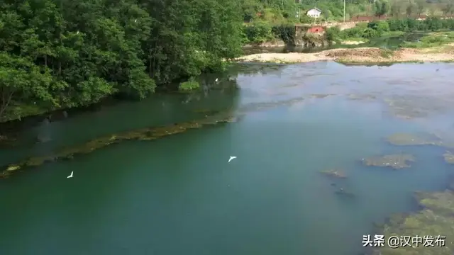 汉中板凳龙，板凳龙的寓意（一部关于汉中勉县的“大片”将在央视播出）