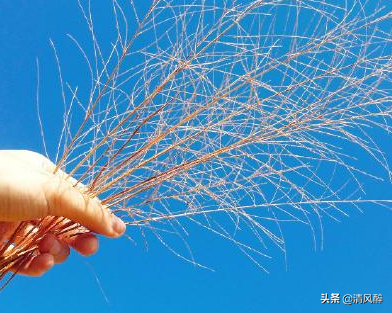 简短有格调的句子，简短有格调的说说句子（简短有格调的个性说说）