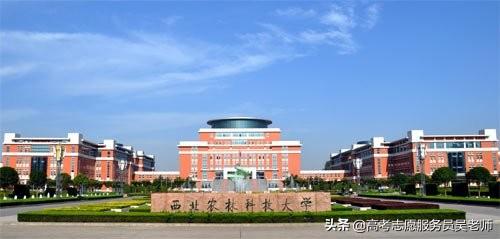 2021全国畜牧学专业大学排名一览表，畜牧学最好的大学（畜牧学专业大学排名及其简介）