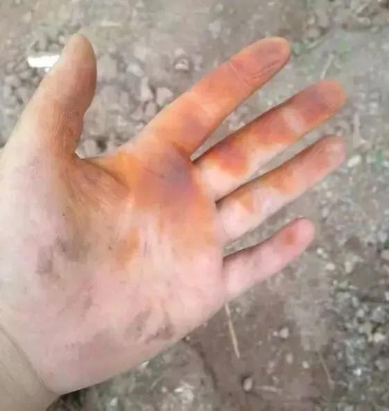 弟弟的惊喜400字作文，弟弟的作文怎么写（弟弟总是能给我一些惊喜）