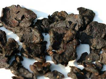 黄精图片植物图片，黄精的作用和功效图片（最低也要60元一斤）