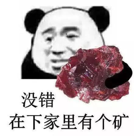 sd是什么意思，sd是什么意思追星（2018流行词语，来看一看吧）