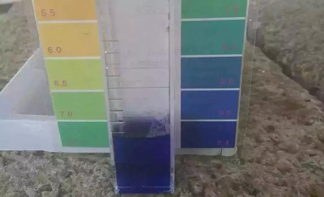 酸雨的ph值，酸雨的ph值范围是（水体酸碱度的相应调节措施你都知道吗）