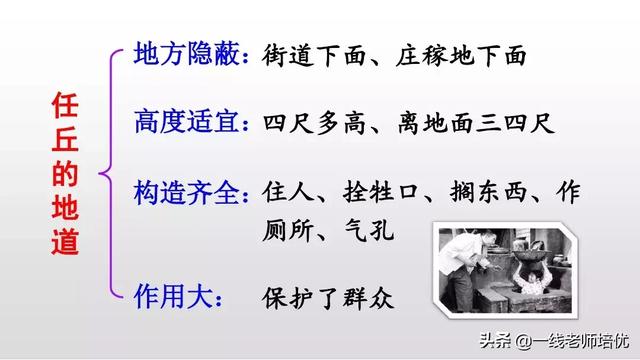 侵可以组什么词语，侵可以组啥词（部编版五年级上册第8课《冀中的地道战》重点知识点+课文讲解）