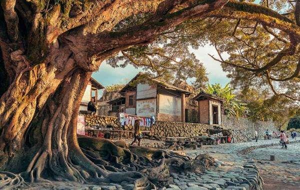 云水谣在哪里，一夜之间响彻全国的爱情圣地（云水谣在哪里）