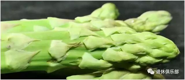 高丽菜是什么，高丽菜是什么季节（这些蔬菜界的“双胞胎”你分得清吗）