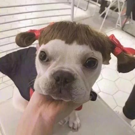 搞怪女头，微信头像，搞怪女头（没有什么困难是战胜不了我的）