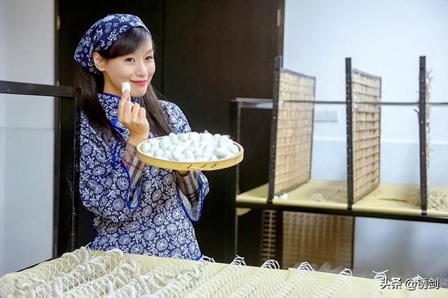 蚕茧怎么保存，蚕茧怎么保存到明年（蚕茧除了缫丝还能变身工艺品）