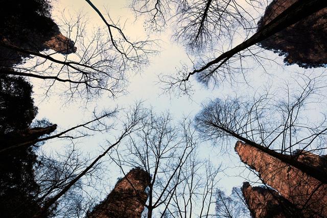 芷溪有哪些风景名胜的地方，芷江的名胜古迹有什么（去张家界旅游选择莲妹儿=选择专业+省心+开心+实惠）