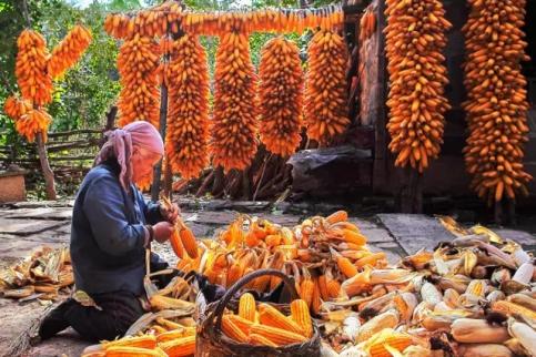 山西话经典语录，山西人，进来说一句俏皮话再走