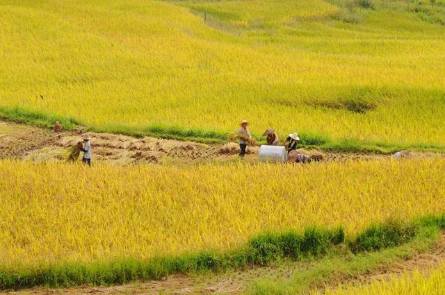 台湾作家，只花了五分钟就写出了《甜蜜蜜》（台湾作家林清玄）