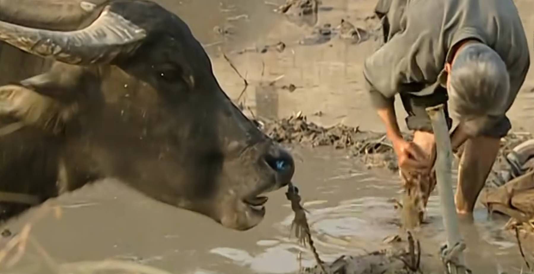 8分钟演讲稿多少字，8分钟演讲稿多少字数合适（《活着》：在全书十二万余字中）