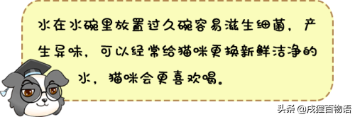 猫喝什么水比较好，猫咪可以喝什么水吗（一天到底需要喝多少水）