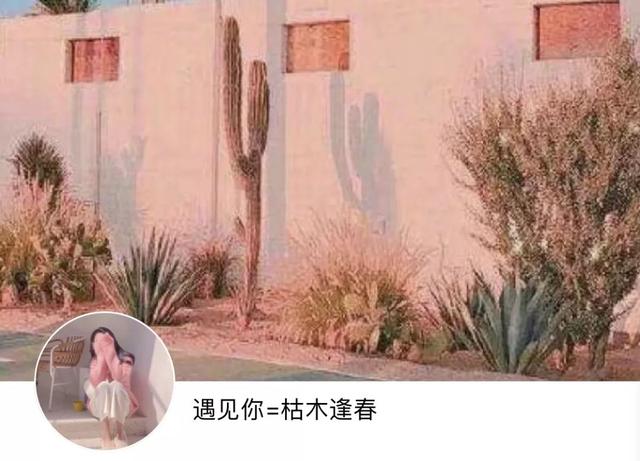 动漫帅哥美女图片，帅哥美女杂图（图王鲨鱼哥第33期33套微信头像加背景图）