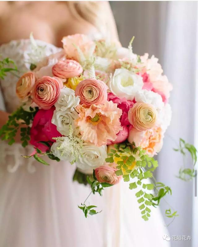 安卓instagram怎么注册，安卓怎么注册ins（一个强大的移动花艺学习平台）