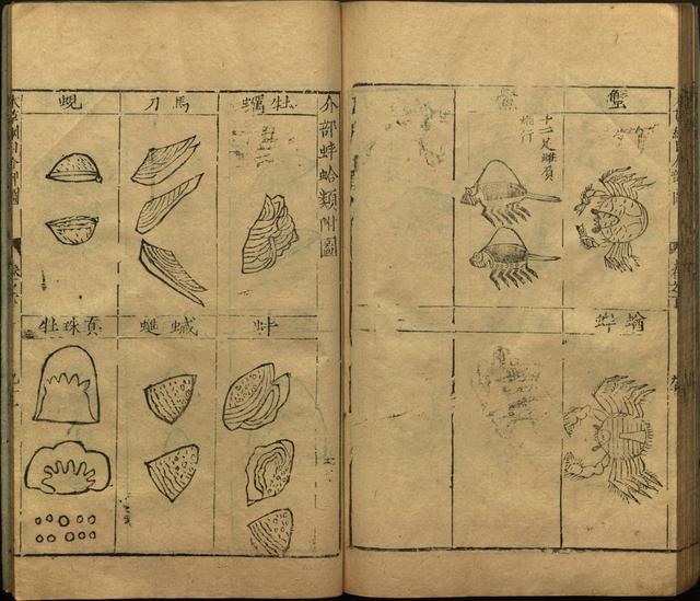 本草纲目全书带图，李时珍本草纲目全书（李时珍著《本草纲目》附图卷）