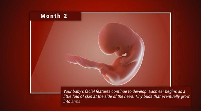 外星人的宝宝长什么模样，宝宝在妈妈肚子里的9个月