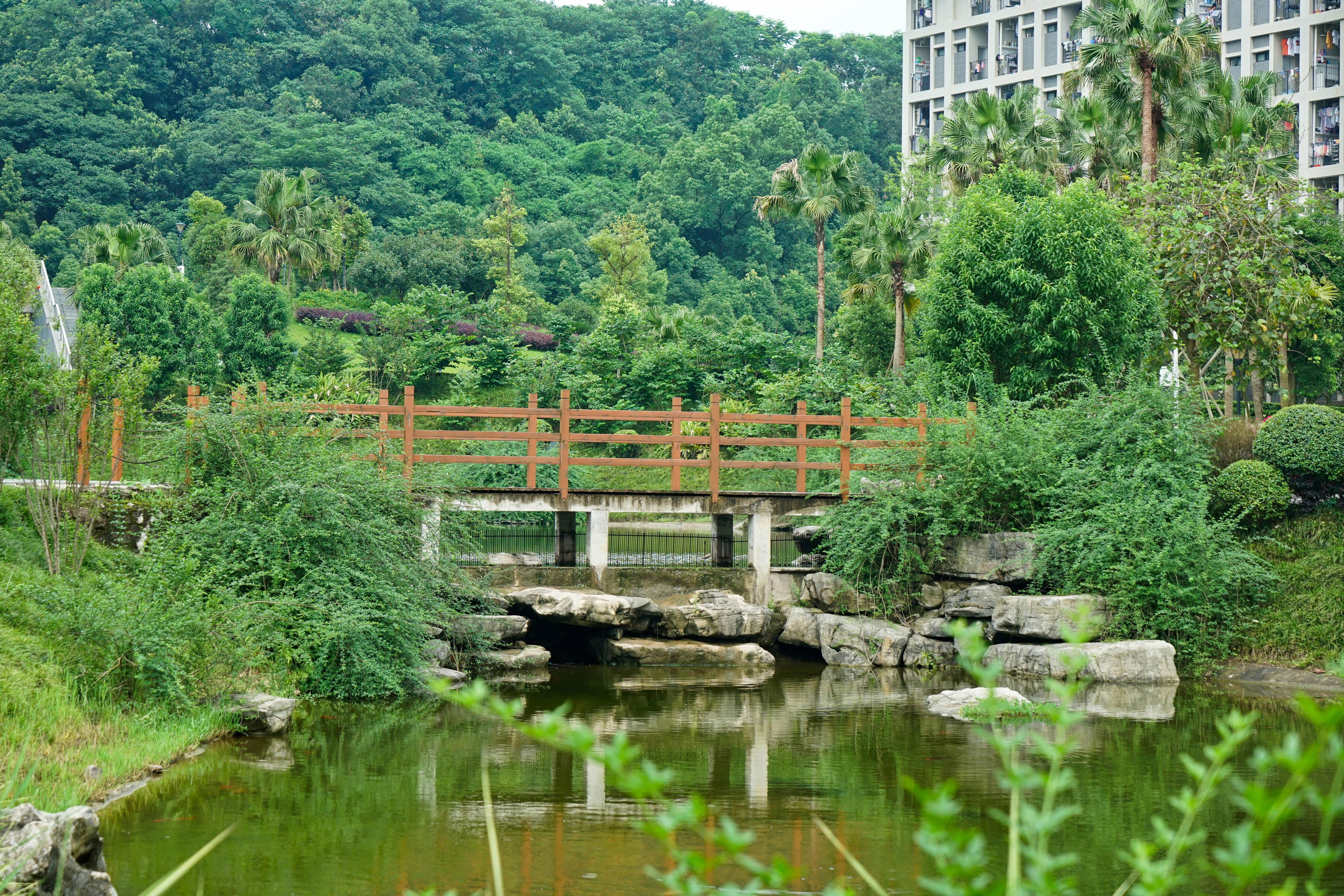 重庆大学城湿地公园图片