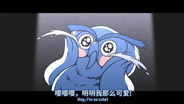 养雪鸮犯法吗，宠物雪貂多少钱一只（猫头鹰的构造原来这么奇葩）