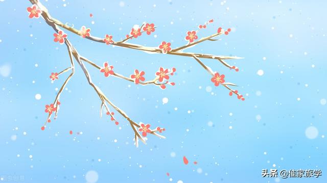 交节是什么意思，交节是什么意思啊（了解中国博大精深又务实的传统文化）