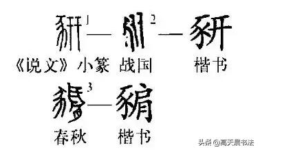 豕怎么读（“猪”与“家”的汉字演变与文化内涵）