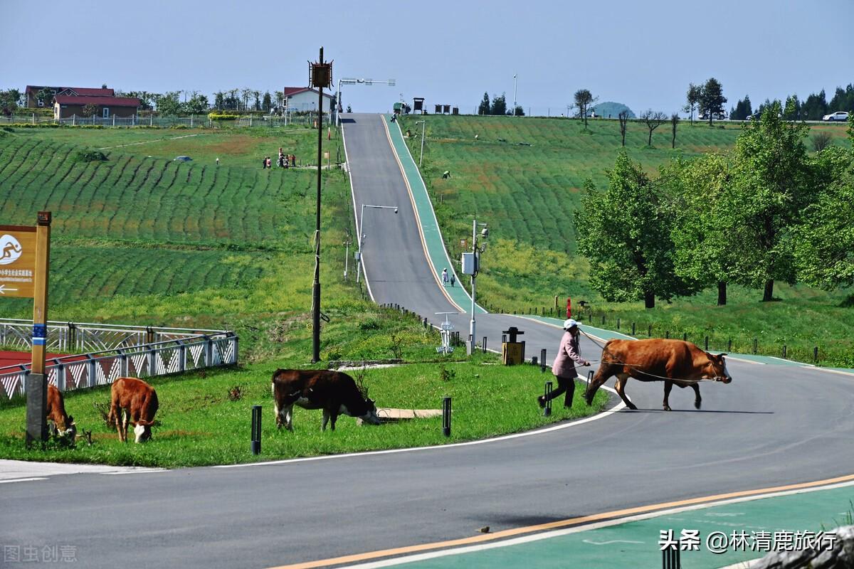 避暑城市是贵州省什么市，避暑城市是贵州哪个市（21°C的夏天太舒服）